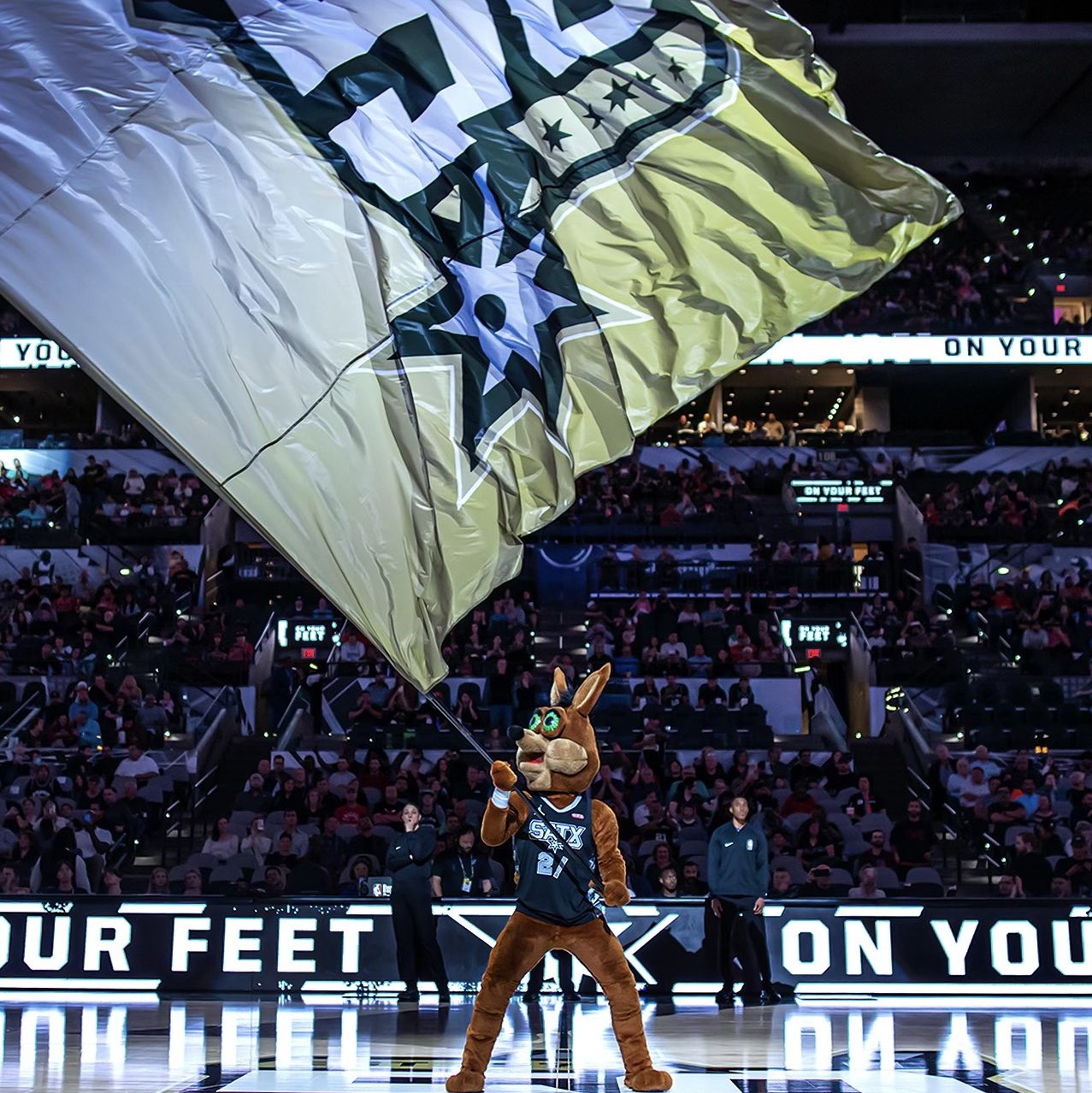 赛事的条件 赛事的条件