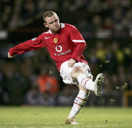 网球运动的 网球运动的